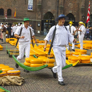 Käsemarkt von Alkmaar